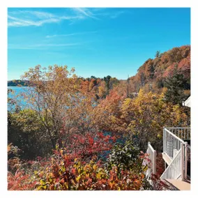 Cozy Waterfront Cottage w Spa+AC - 5 min MSM Hill - Image 5