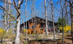 Cozy Cabin Near Massanutten Resort & Water Park! - Image 2