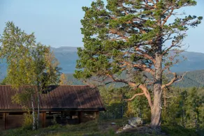 Sørbølhytta - modern Ål cabin with panoramic views - Image 4