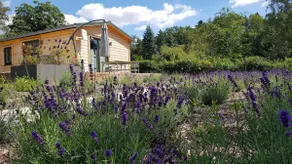 Chalet forest lakeside vacation - Image 2