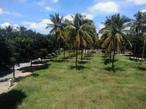 Studio Apartment in a Peaceful Area Near Airport - Image 3