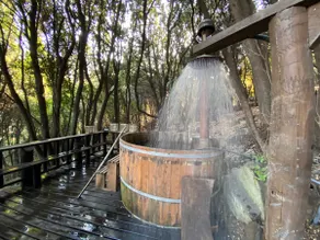 ”Casa Canelo”, Views, tinaja, and forest - Image 2