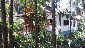 Juçara Cabin, living forest Alto Penedo - RJ - Image 5