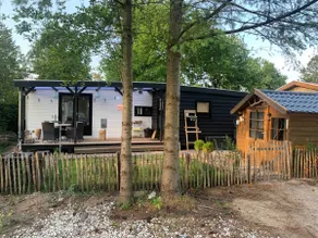 Cozy cottage with veranda on the Veluwe - Image 2