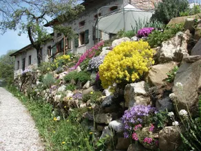 The house in the woods, guest house rental Dolomites - Image 2