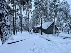 The NuttyBear Cabin with Hot Tub - Image 4
