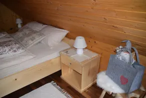 Shepperd Miha's House Private Ski Area - Image 4