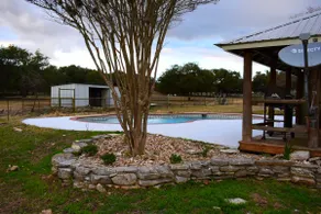 Ranch225 - Home to Honkey the Donkey - Image 3