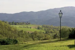 Tenuta il Cerro - Image 4