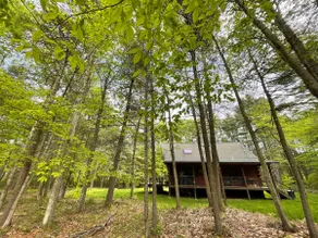 Modern cabin on 4acres/2bed/2bath Pets OK! - Image 2