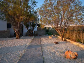 CasaZu - Image 5
