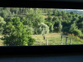 Quinta Da Ribeira - Image 5