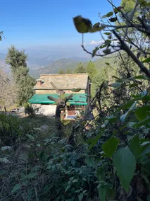 Bee House Homestay - Image 5