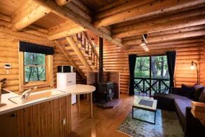 Elegant, Secluded Cabin for Couples & Families - Image 5