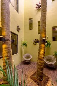 Beautiful Casa Dos Palmas in Litibu - Image 4
