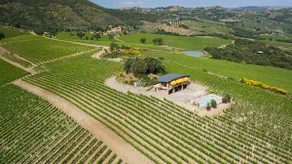 Secluded Luxury Studio & Vineyards near Montalcino - Image 3