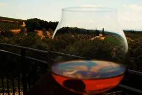 Raffaella's House in Chianti - Image 2