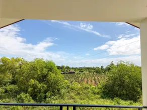 A modern tropical home surrounded by nature. - Image 2
