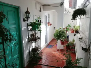 Charming and quiet atmosphere in Sopocachi. - Image 3