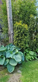 Bedroom, living room, bathroom, refrigerator, microwave, outdoor area. - Image 4
