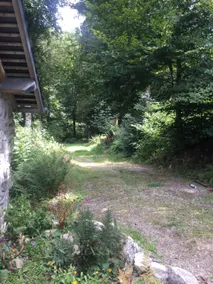 Woodland Cottage - Image 4