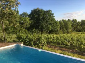 Panoramic villa with pool on our vineyard - Image 3
