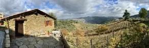 Casa da Vinha em Tabuaço Douro - Image 2