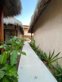 Casa Tao, Entire house near Carrizalillo–Pxm - Image 5