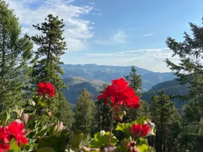 Come smell the pines from your exclusive suite!! - Image 2
