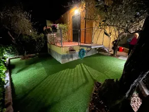 Alessandro's three olive trees - Image 2