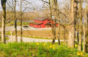 RiverSide Barn Suite on the Mississippi River. - Image 2