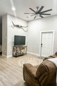 Apartment in Alva on 5 acres in an Equestrian Barn - Image 5