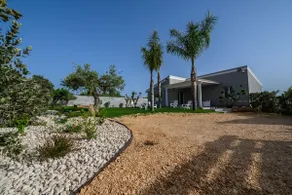 LA STELLA DEL SUD - Image 2