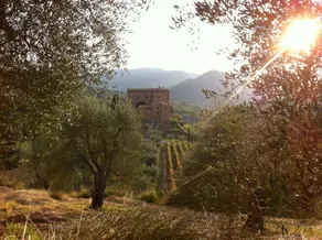 Castello Di Potentino - Image 4