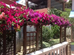 ALCYON villa - Image 4