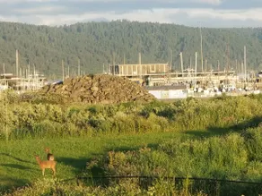 Ocean Sunset View House - Image 5