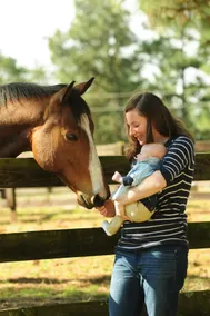 Tanglewood Farm Horse Farm- The Tally Ho Suite - Image 4
