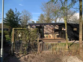 Cozy cottage with veranda on the Veluwe - Image 4