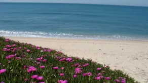 Holiday House - Beach - Image 2