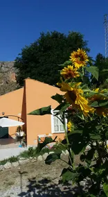 Calabria: B&B 10 minutes from the sea (pet friendly) - Image 4