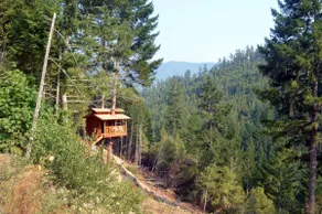 Rustic Remote Treehouse @Sustainable Ecovillage - Image 3