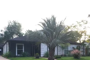 “Driftwood House” w/Private Pool/5min from NASA. - Image 3