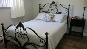 Charming 900sf, 2 bedroom, 4 miles to MSU - Image 3