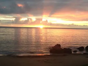 Sunrise at Penguin - Image 3