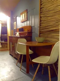 Schmetterlingsstudio Whitsundays - Image 5