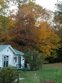 Spac/Track poolside homie country cottage firepit2 - Image 2
