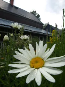 Mountain House LUFT Sneznik - Image 4