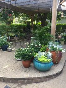 Barbara's Market Street Guest House - Image 3