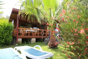 ÇIRALI ORANGE AND LEMON GARDEN - Image 4