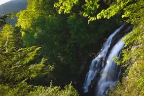 Stunning Dutch Creek Falls- Heart of Valle Crucis - Image 2